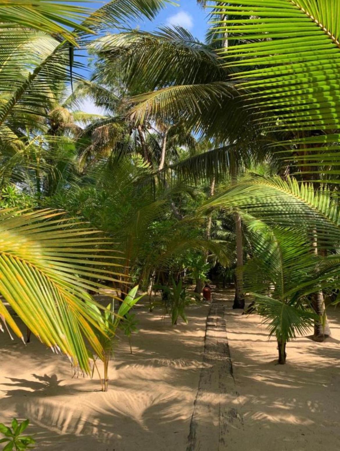Ganesh Garden Beach Cabanas Tangalle Exterior foto